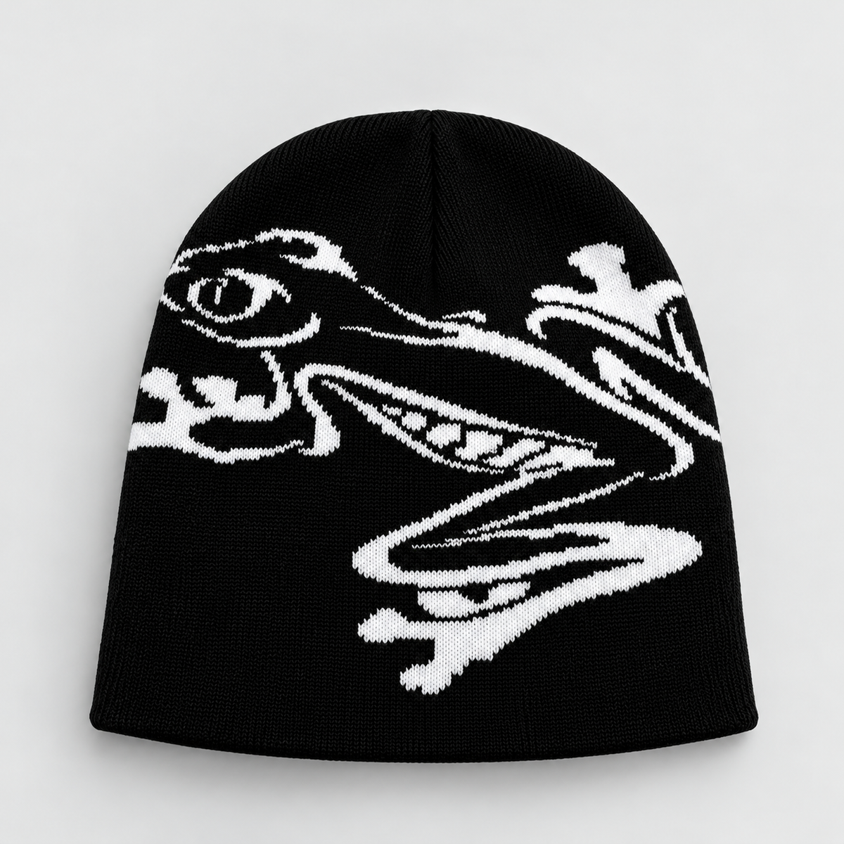 SNOWCTRL Frog Graphic Beanie