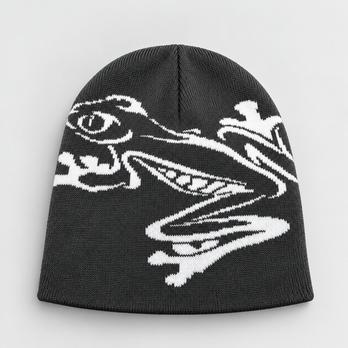 SNOWCTRL Frog Graphic Beanie